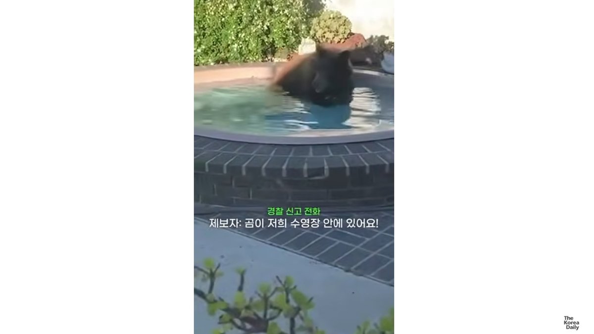 LA 라크레센타 주택가에 대낮 곰 출몰… 당국 미온적 대응에 주민 불안