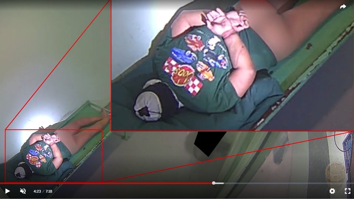 "수갑 채운 채 폭행해 사망"… LAPD, 구치소 수감자 폭행치사 사건 영상 전격 공개
