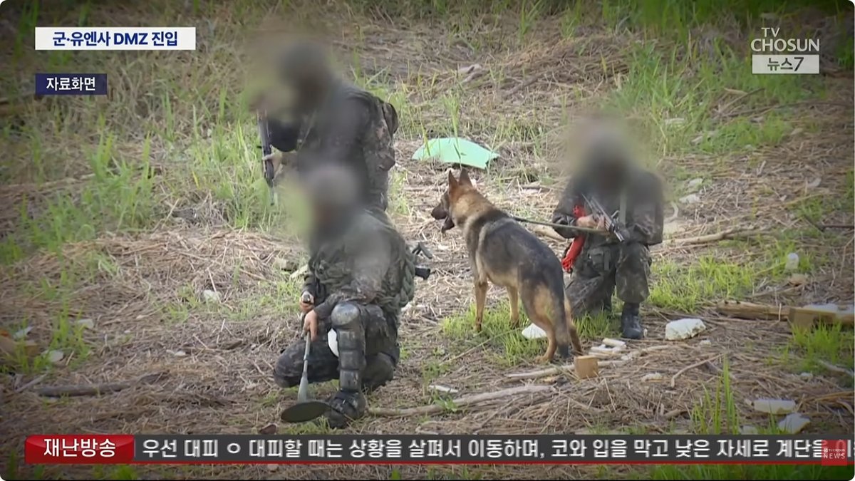 DMZ 지뢰 추정 폭발사고 본격 조사… 한국군·유엔사 공동조사 착수