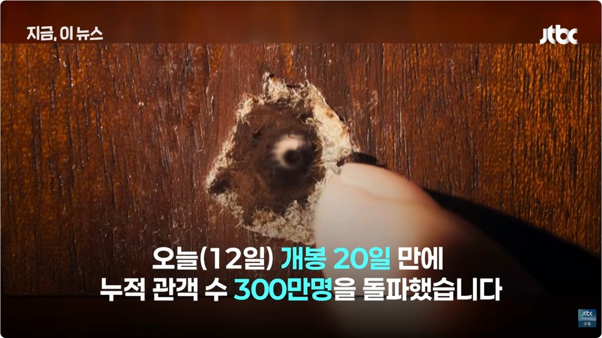 영화 ‘암살자들’ 주말 관객 40만명 돌파… 누적 299만명, 박스오피스 2위