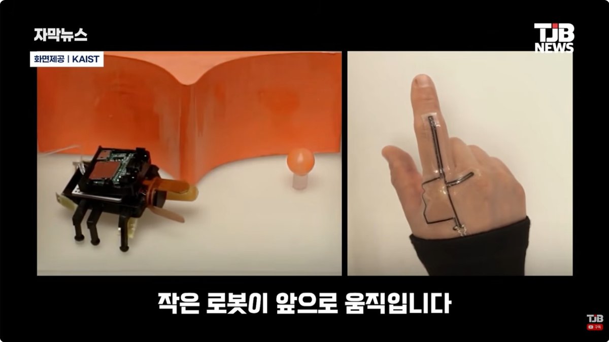 손가락 움직임으로 걷고 물체 잡는다… KAIST, 촉각·시각 갖춘 ‘딱정벌레 로봇’ 개발