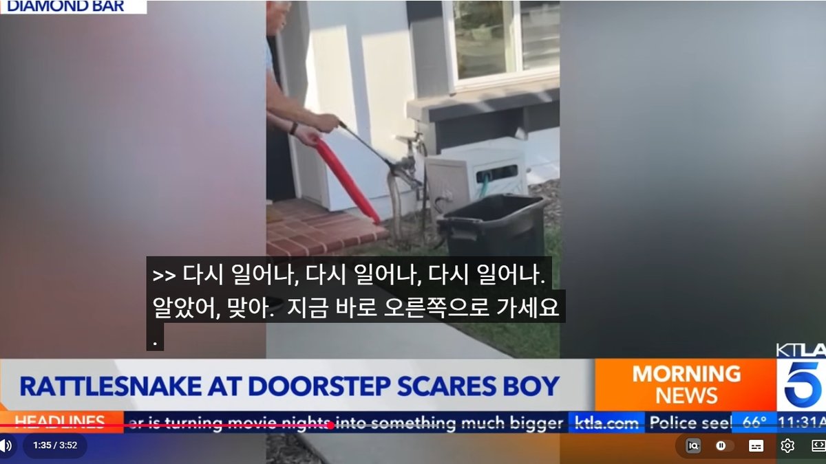 "쓰레기 버리러 나갔다가..." LA 주택가 1.2m 대형 방울뱀 출몰, 9세 소년 화들짝