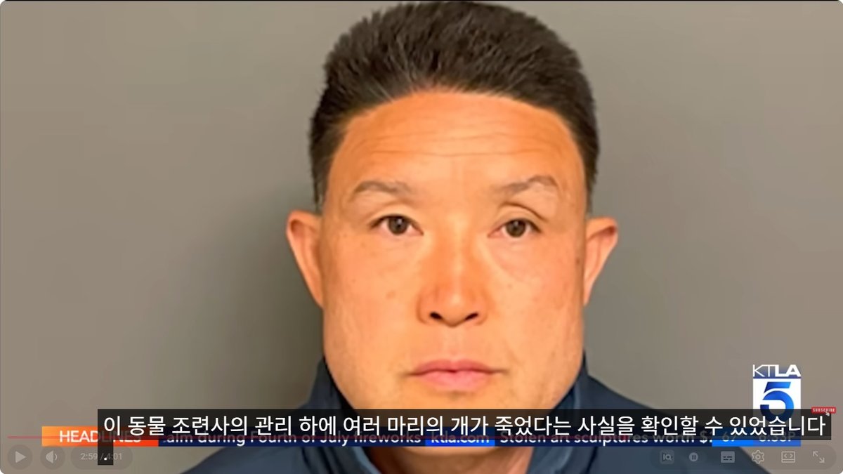 "열사병·둔기 외상" 반려견 11마리 끔찍한 집단 폐사… 훈련사 재판 개시