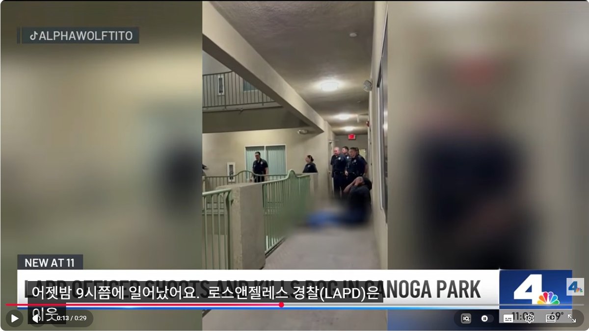 '뉴욕 닉스 우승 축하 환호성'을 '비명'으로 오인... LAPD, 반려견 총격 사살 파문